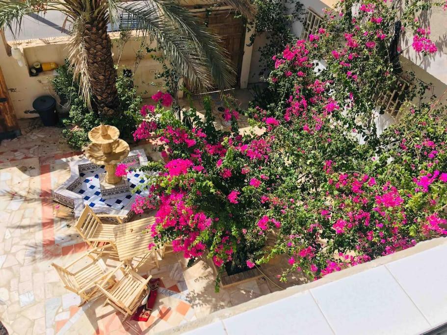 Suite Moonlight Zone Touristique Tauzar Zewnętrze zdjęcie