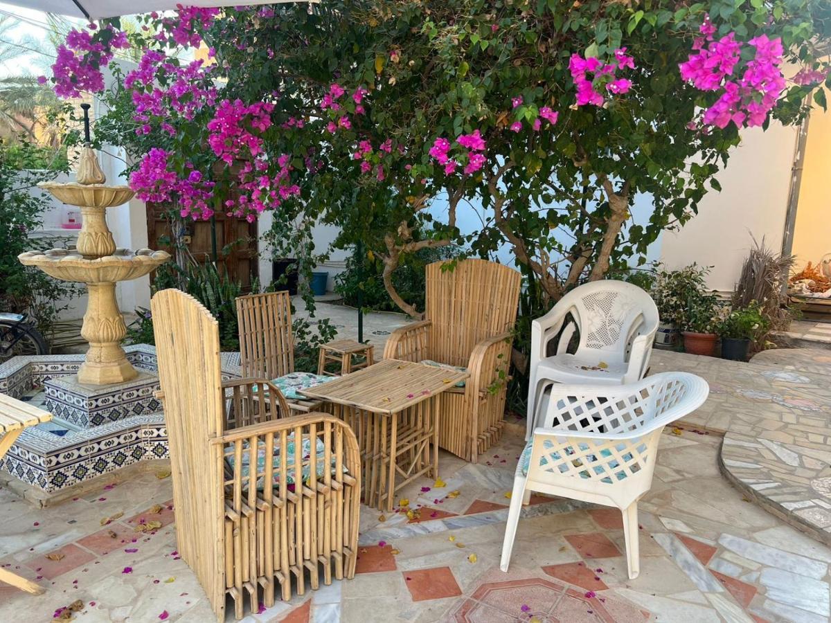 Suite Moonlight Zone Touristique Tauzar Zewnętrze zdjęcie